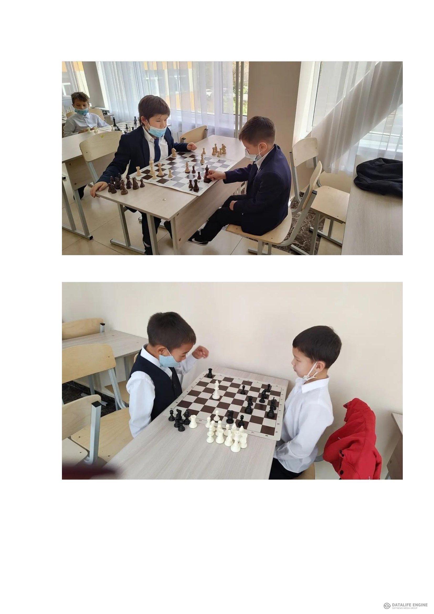 В школе работает кружок «Юный шахматист»
